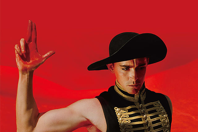 落下の王国 デジタルリマスター/The Fall